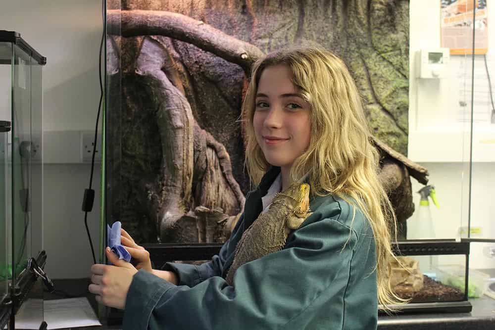 Zoology & Animal Management 